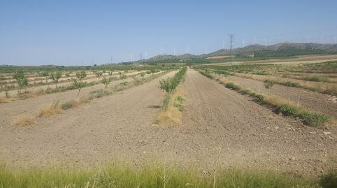 Foto 4 de Terreny en venda a Chinchilla de Monte-Aragón, Albacete