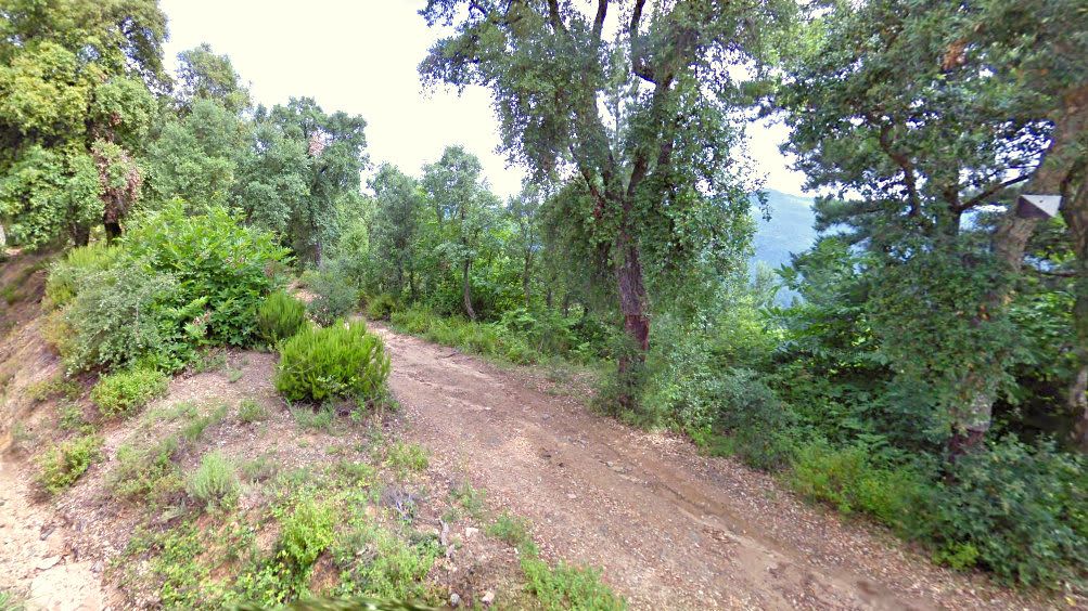 Land for sale in Arbúcies