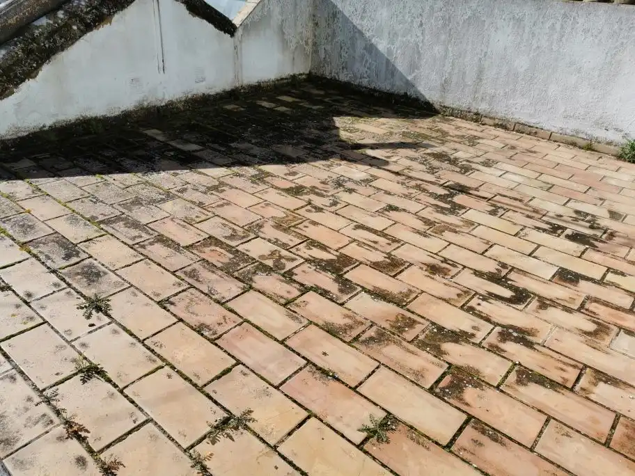 Maison avec terrasse à vendre à Vejer, imagen 19