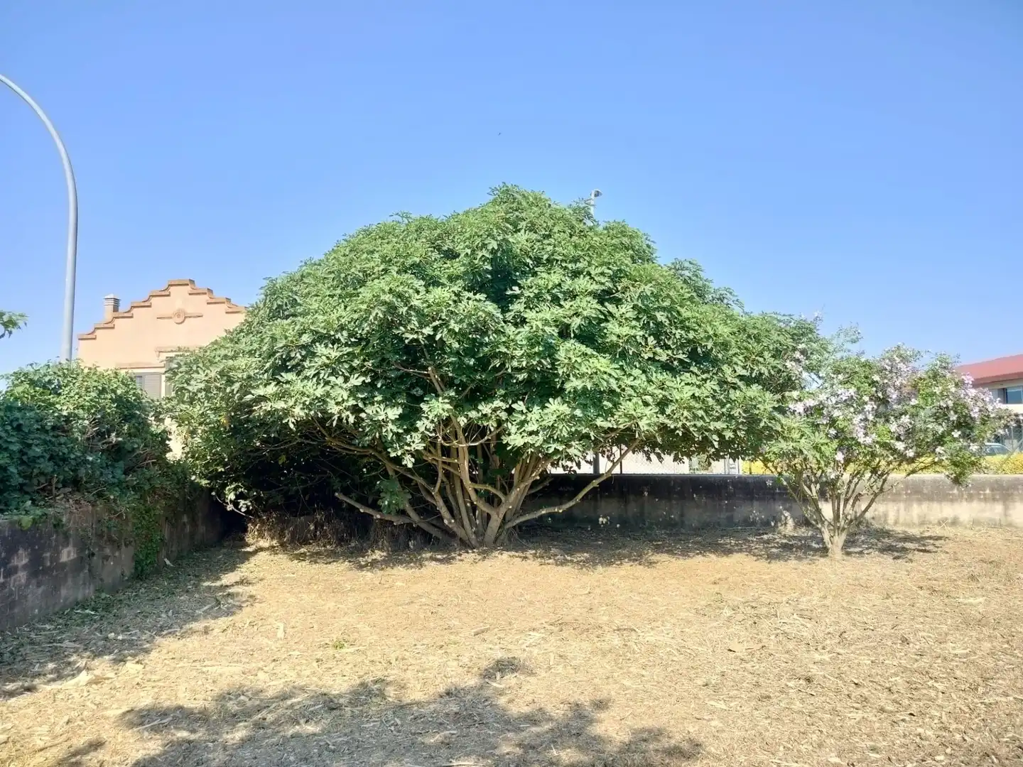 Casa o chalet en venta en Serra de Daró