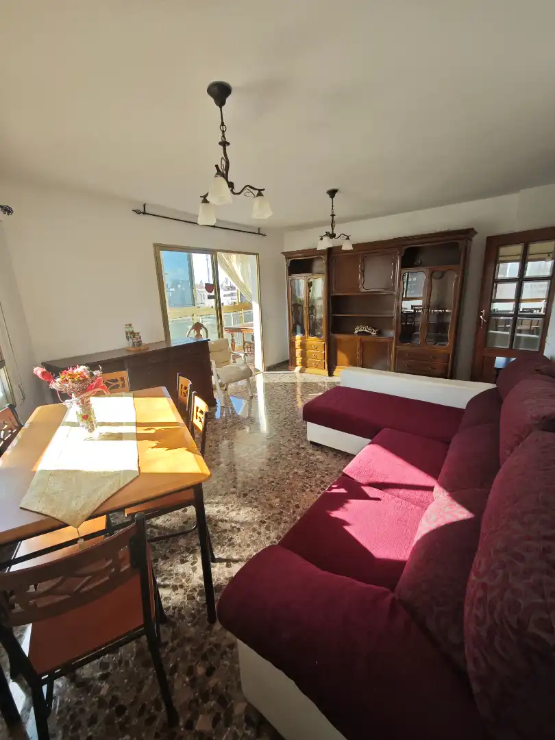 Living room of Flat for sale in Benidorm  with Terrace, Storage room and Furnished