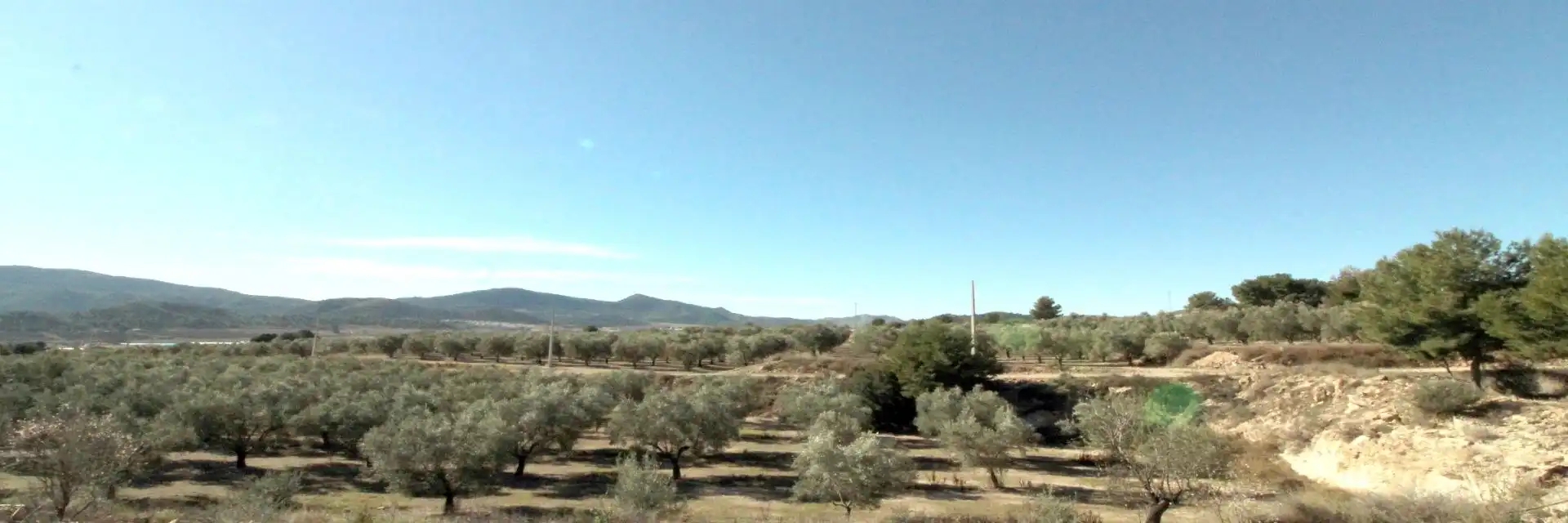 Rustikales Grundstück zum Verkauf in Hondón de las Nieves / El Fondó de les Neus, imagen 4