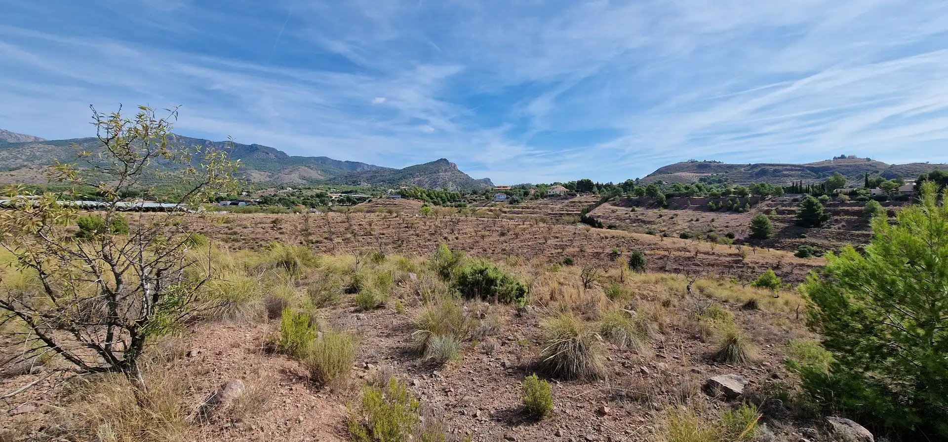 Residential land for sale in Aledo, imagen 4