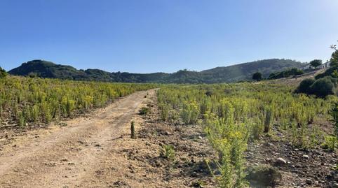 Photo 3 of Residential for sale in Castellar de la Frontera, Cádiz