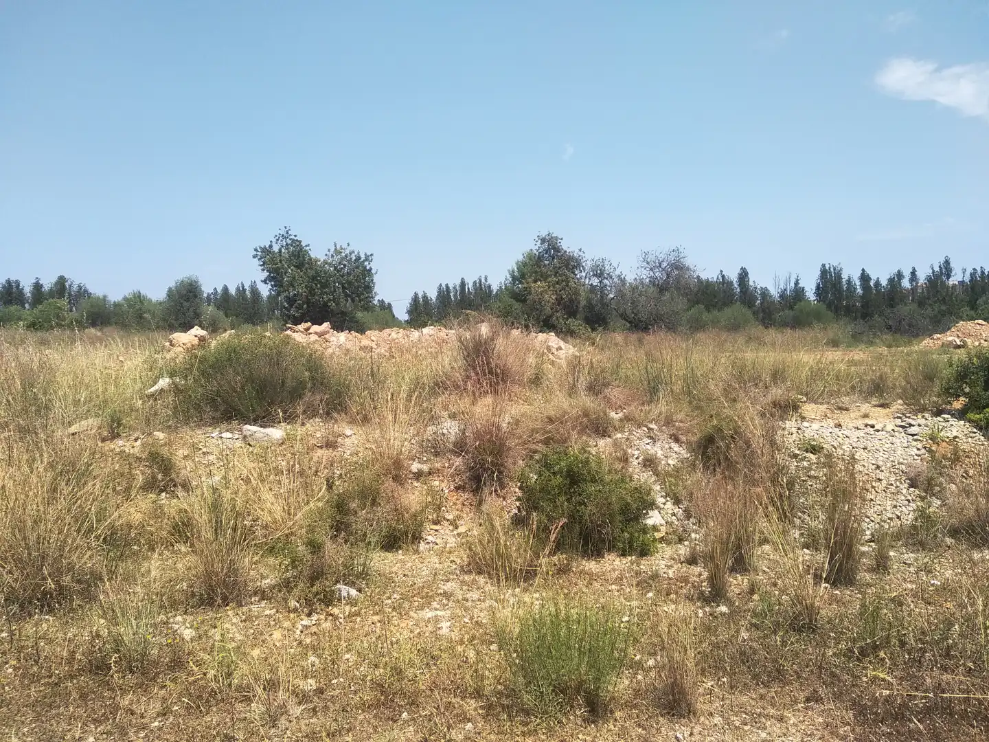 Terreny residencial en venda a Proc. Simplificado, imagen 18