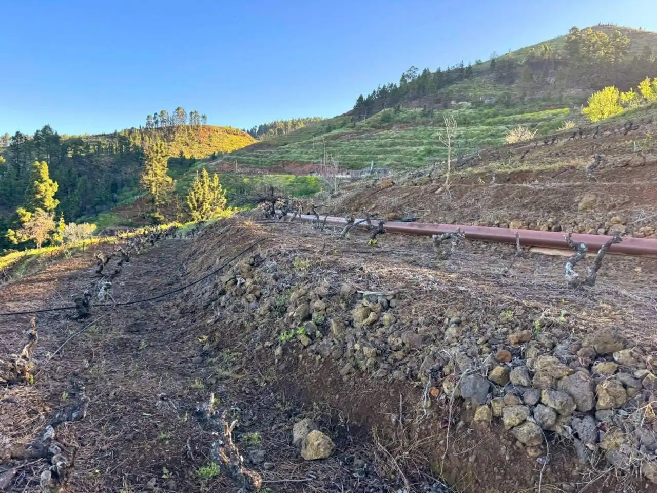 Rural land for sale in N/A, imagen 11