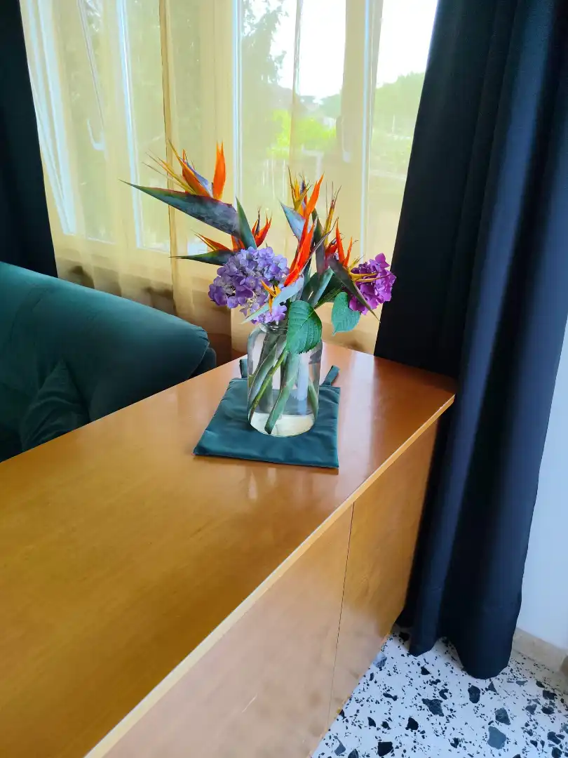 Living room of Apartments for rent in Ribeira  with Terrace, Furnished and Oven