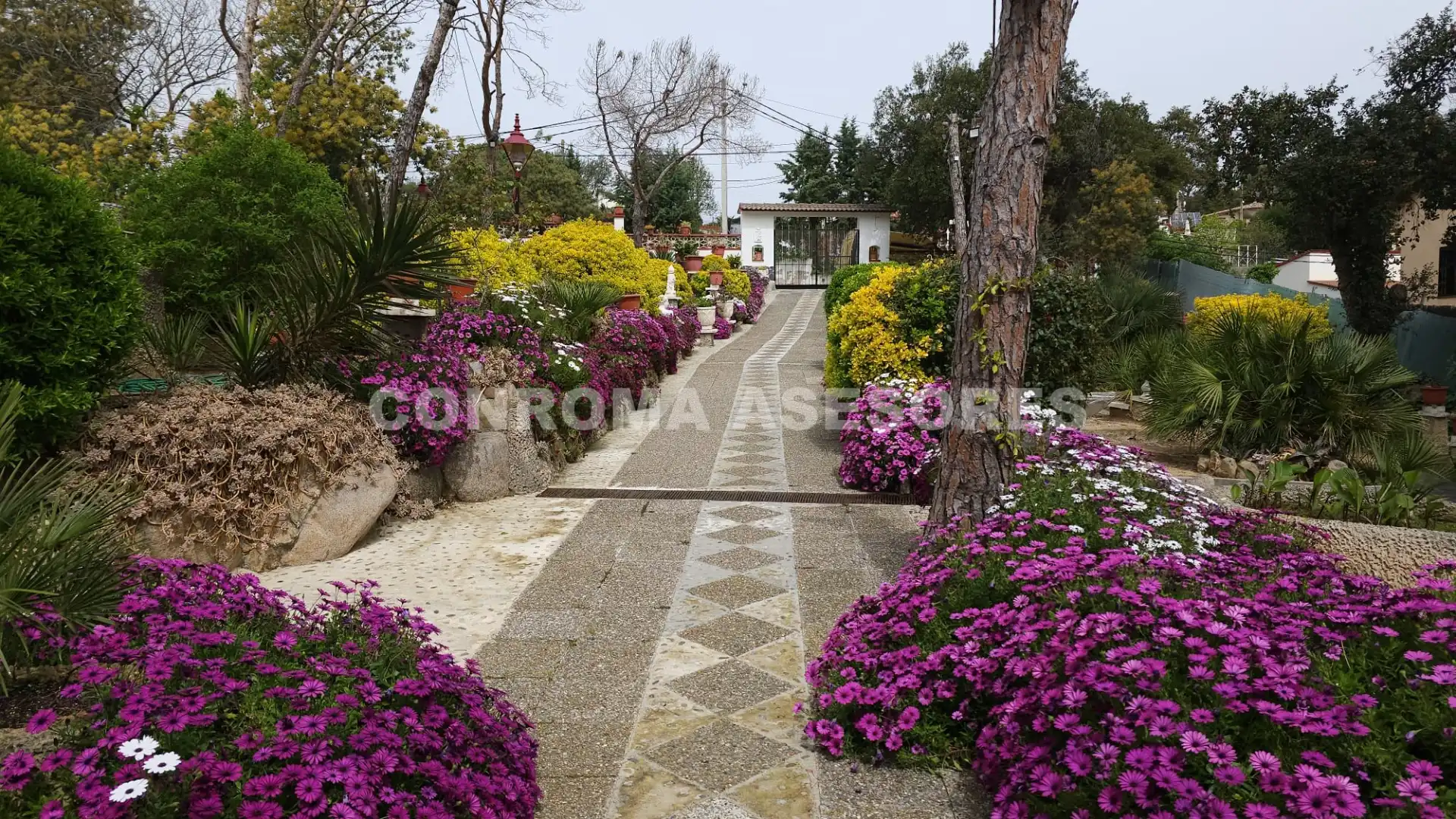 Villa avec terrasse à vendre à Mas Altaba - El Molí, imagen 13