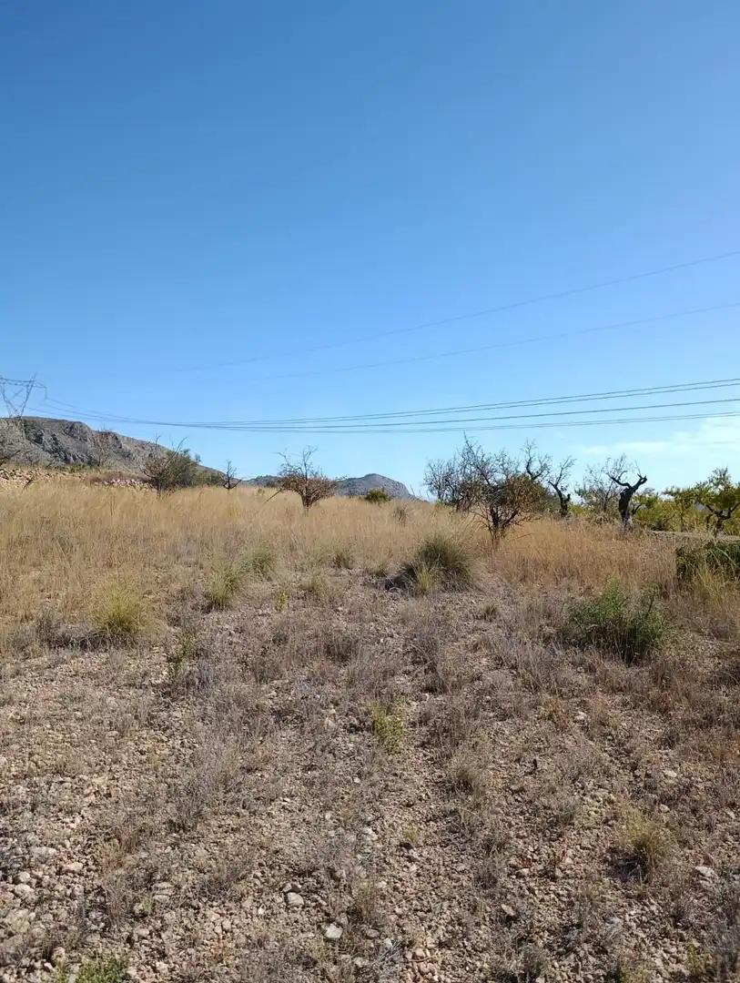 Terreno rustico in vendita a Hondón de las Nieves / El Fondó de les Neus, imagen 34