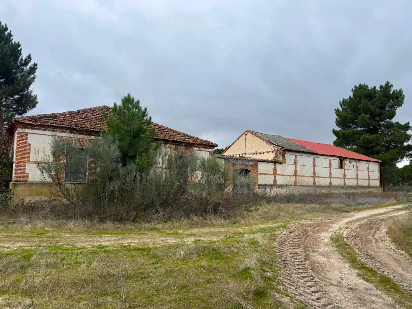 Vista exterior de Terreno en venta en Coca