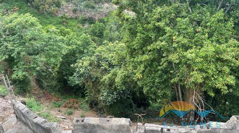 Foto 4 de Finca rústica en venta en N/a, Palo Blanco, Santa Cruz de Tenerife