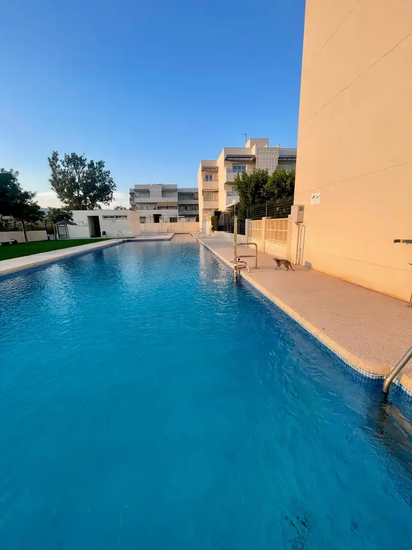 Àtic amb piscina en venda a El Toyo, imagen 25