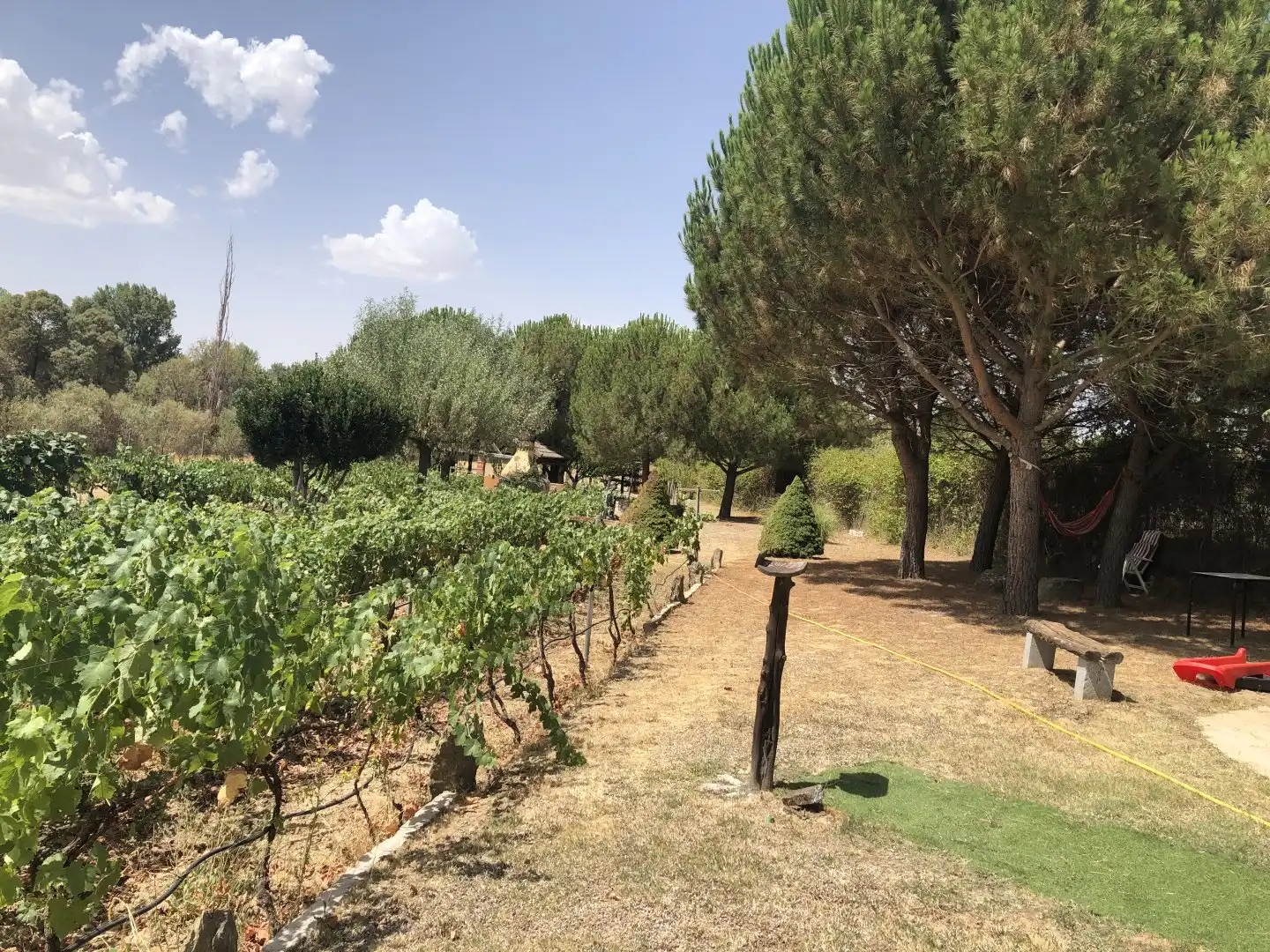 Finca rústica en venda a La Lastrilla