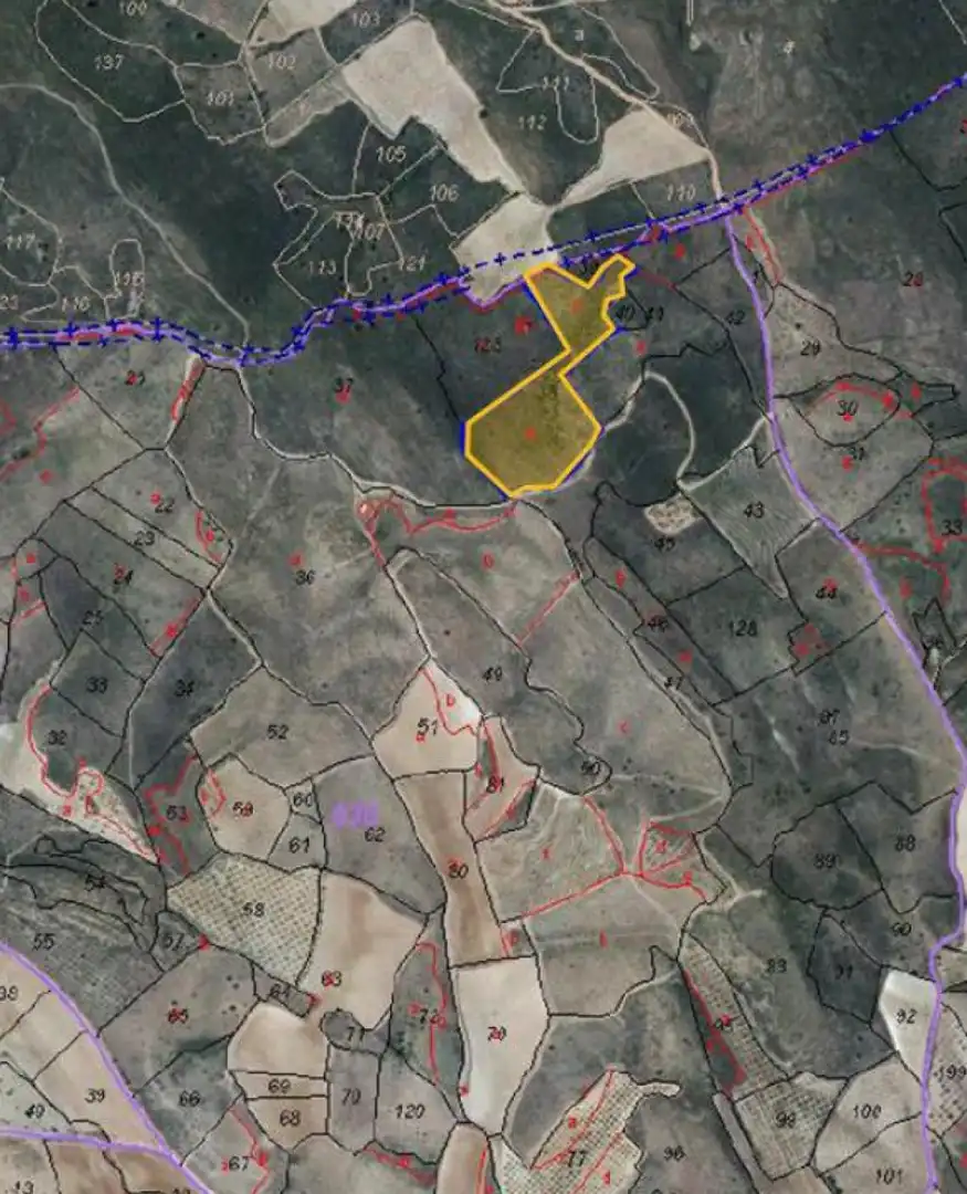 Terreno rustico in vendita a BORBOJON, imagen 3