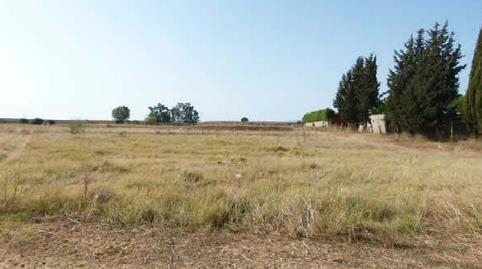 Foto 2 de Residencial en venta en Snp-12. el Castillo I, S/n, Centro - Doña Mercedes, Dos Hermanas