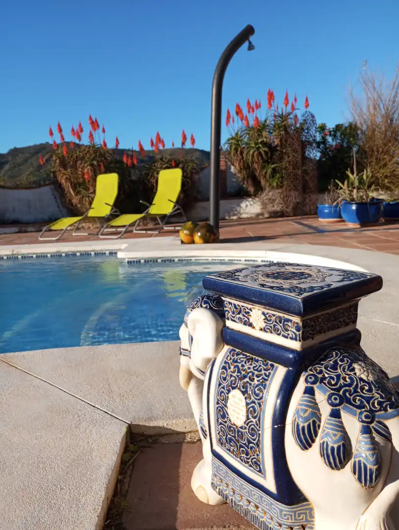 Swimming pool of Country homes for sale in Monda  with Air Conditioner, Heating and Private garden