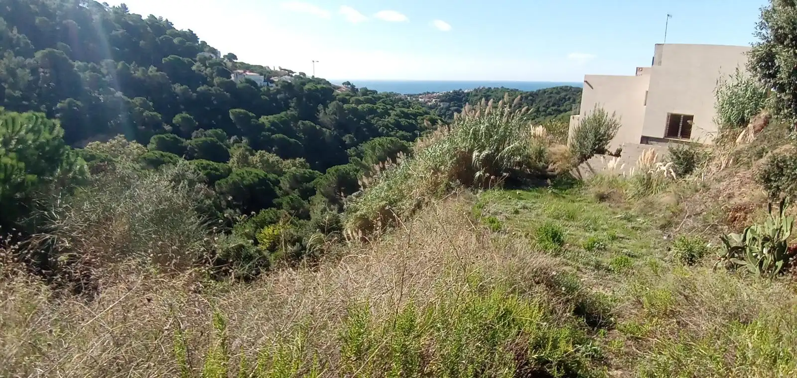 Terrenos y solares en venta en Serra Brava, imagen 7