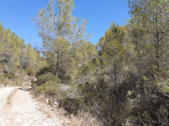 Terreno en Venta en Tivissa