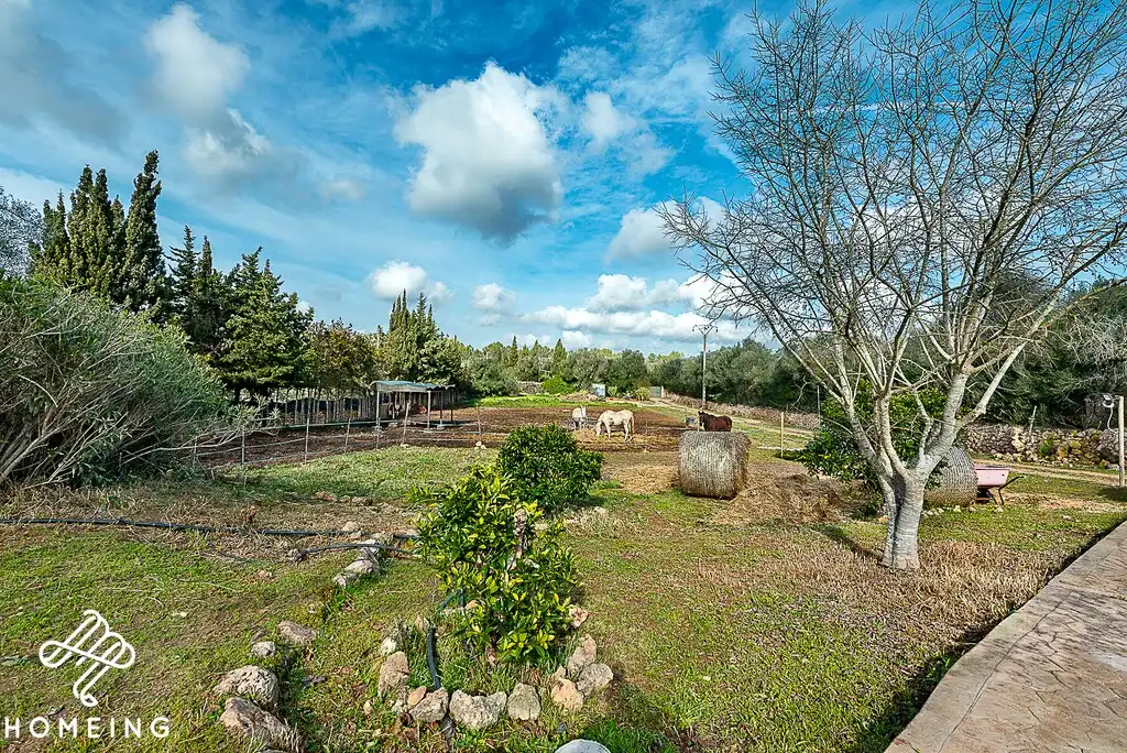 Casa rústica amb piscina en venda a Algaida, imagen 8