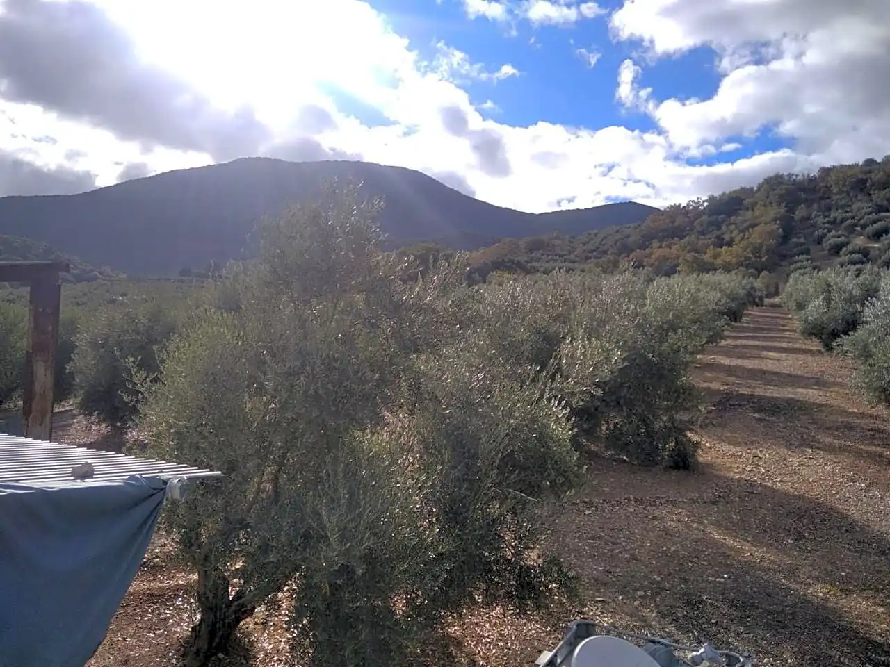 Finca rústica en venta en Benalúa de las Villas con Jardín privado, Terraza y Trastero