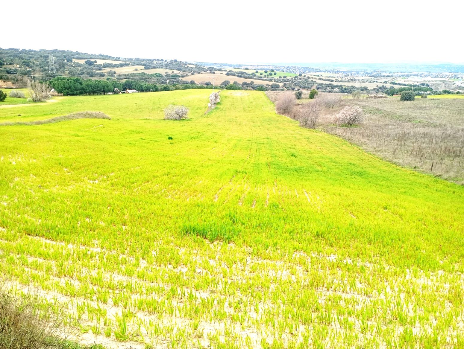 Residencial en venda en Majadahonda