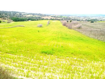 Rural land for sale in Golf - El Carralero