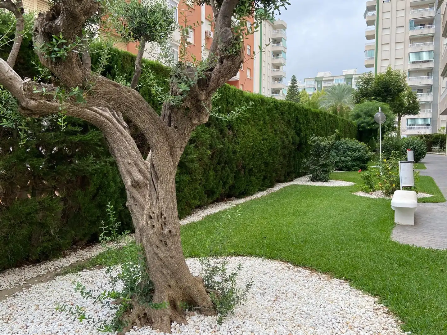 Apartament amb piscina de lloguer a Playa de Gandia, imagen 23