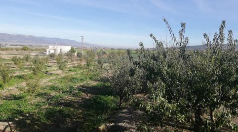 Foto 4 de Casa o xalet en venda a Aguaderas, Murcia