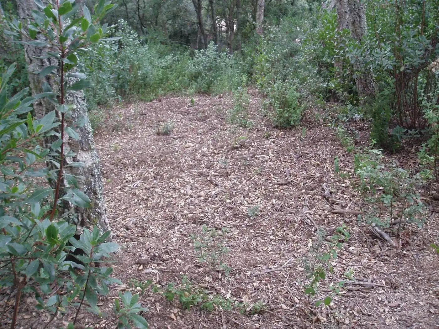 Residencial en venda en Santa Cristina d'Aro