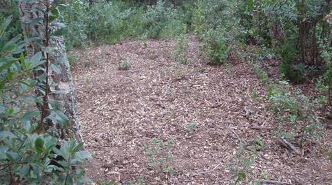 Foto 5 de Residencial en venta en Urbanitzacio de Vall Repos, Urbanitzacions del Nord, Santa Cristina d'Aro