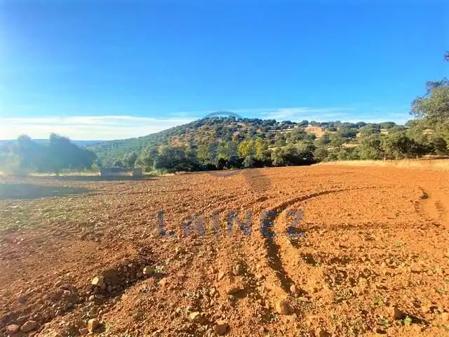 Lands and plots for sale in Fuente Obejuna, imagen 4