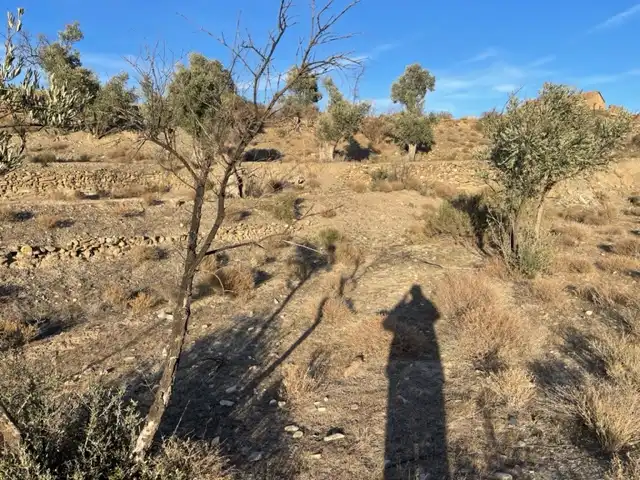 Terrenys i solars en venda a Abla, imagen 6