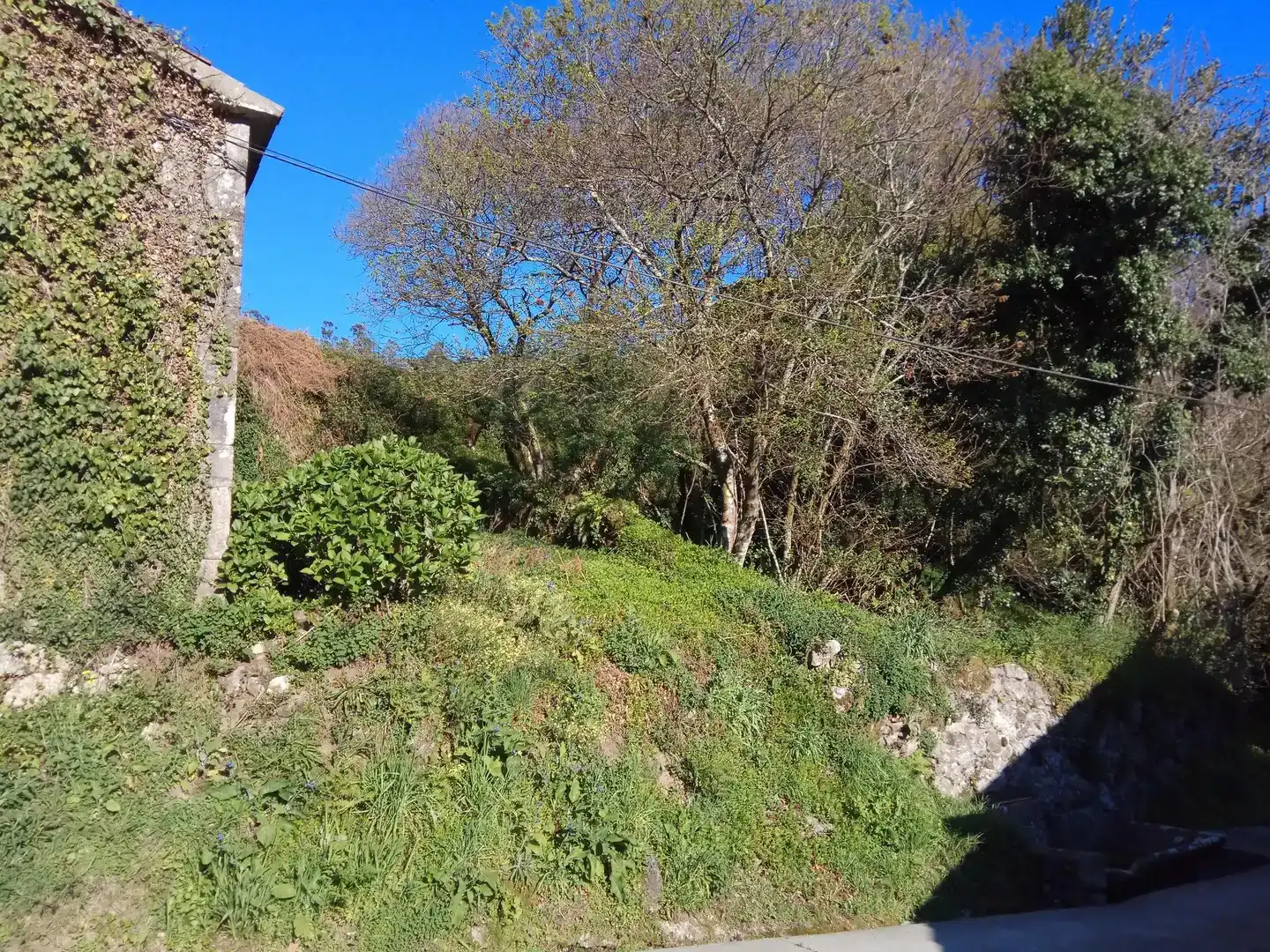 Finca rústica en venta en Outes