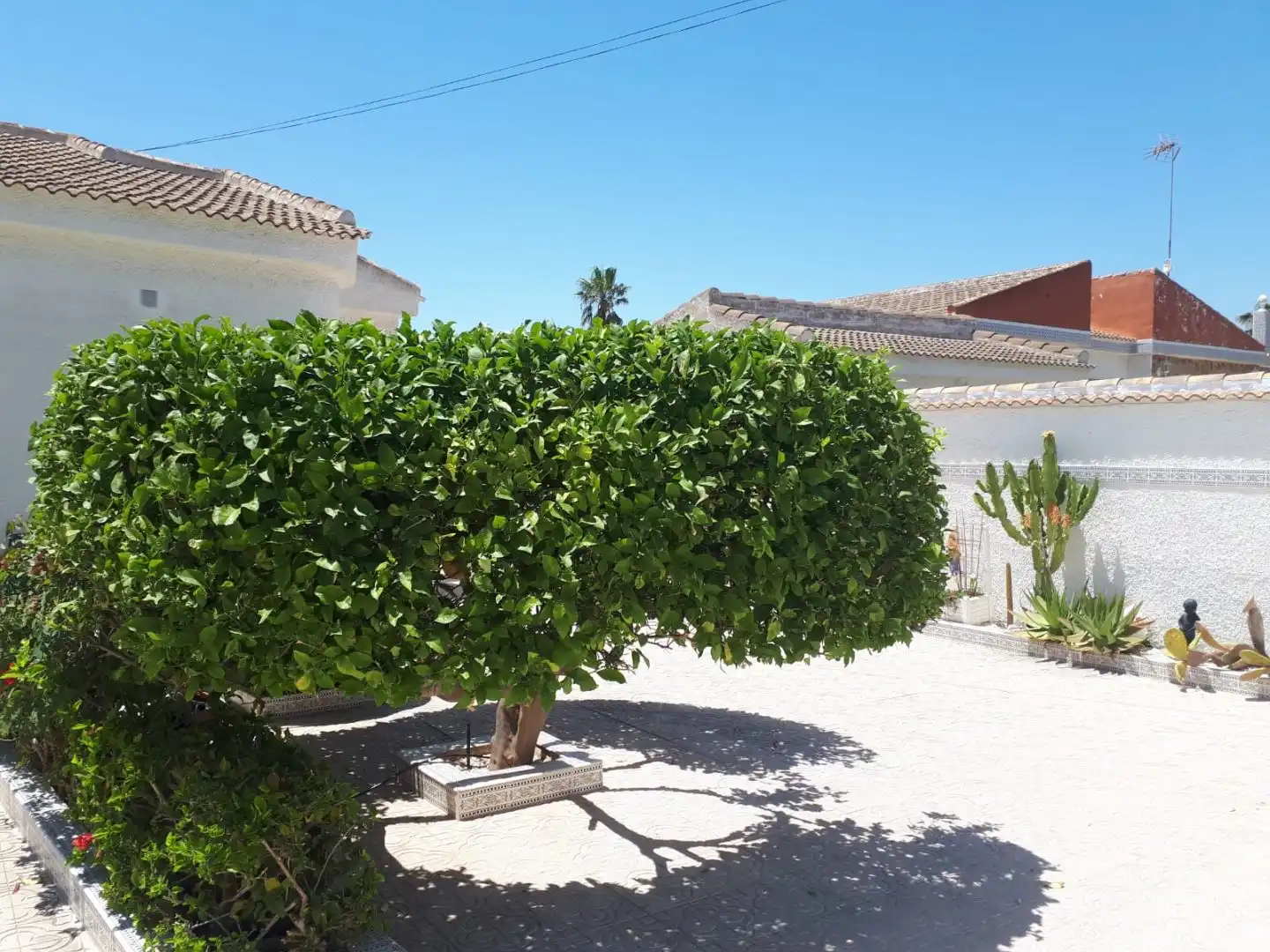 Detached house with pool for sale in Avenida jaca 13, imagen 30