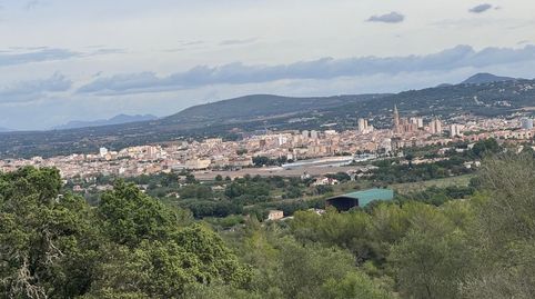 FINCA RÚSTICA MANACOR