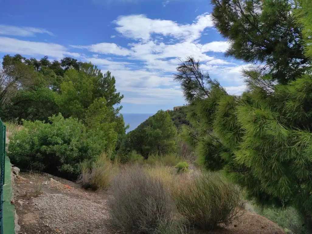 Terrain résidentiel à vendre à PRINCIPAL DE LA SIERRA, imagen 3