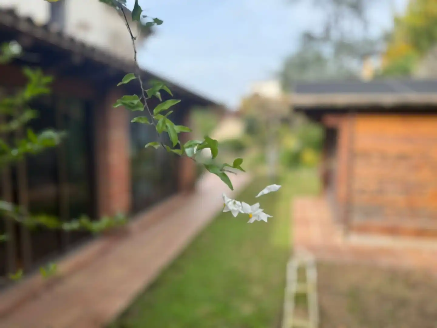 Maison avec piscine à vendre à Sant Celoni, imagen 77