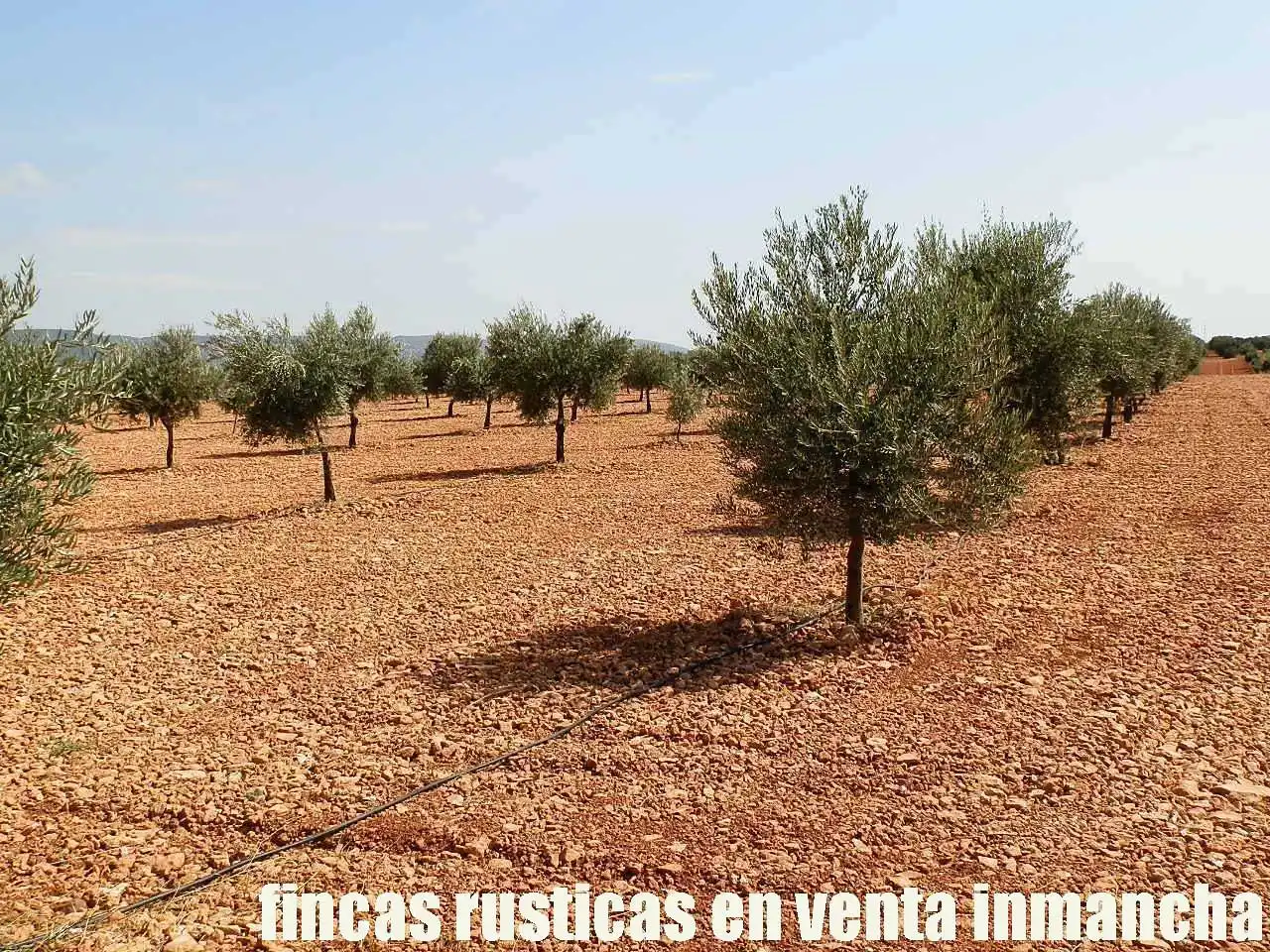 Terreno rústico en venta en Moral de Calatrava, imagen 16