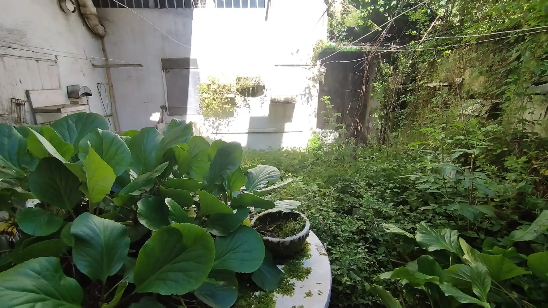 Residencial en venda a Sant Hipòlit de Voltregà, imagen 4