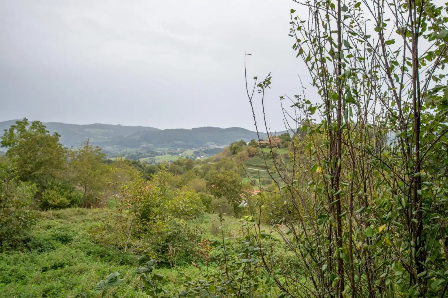 Casa a schiera in vendita a Villaviciosa - Lugás La Pedrera, imagen 8