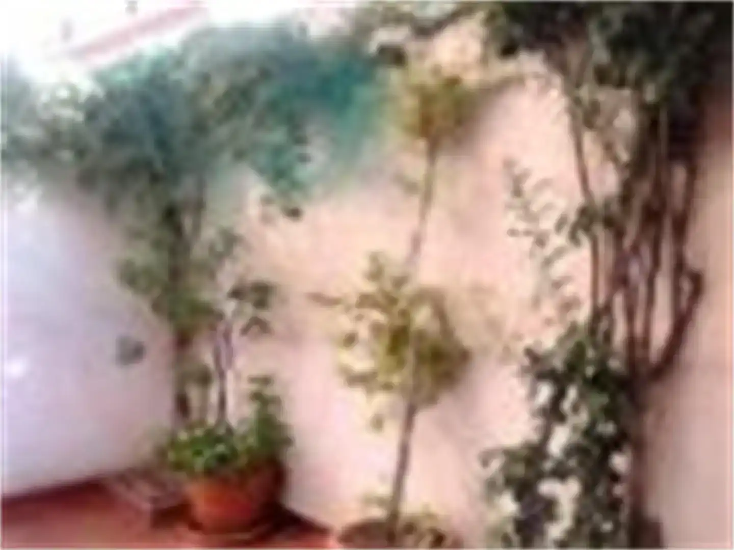 Jardí de Pis en venda en Yuncos
