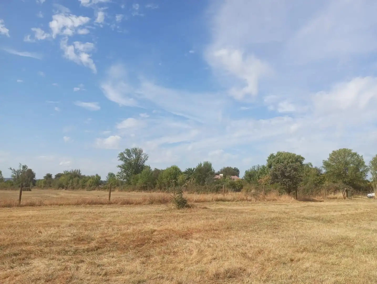 Terreny rústic en venda a Arenas de San Pedro, imagen 13