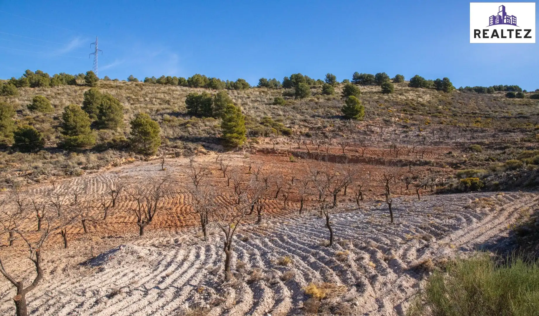 Terrain rustique à vendre à Alcolea, imagen 6