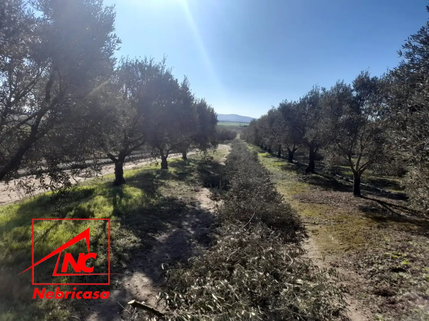 Terreni e lotti in vendita a Lebrija, imagen 10