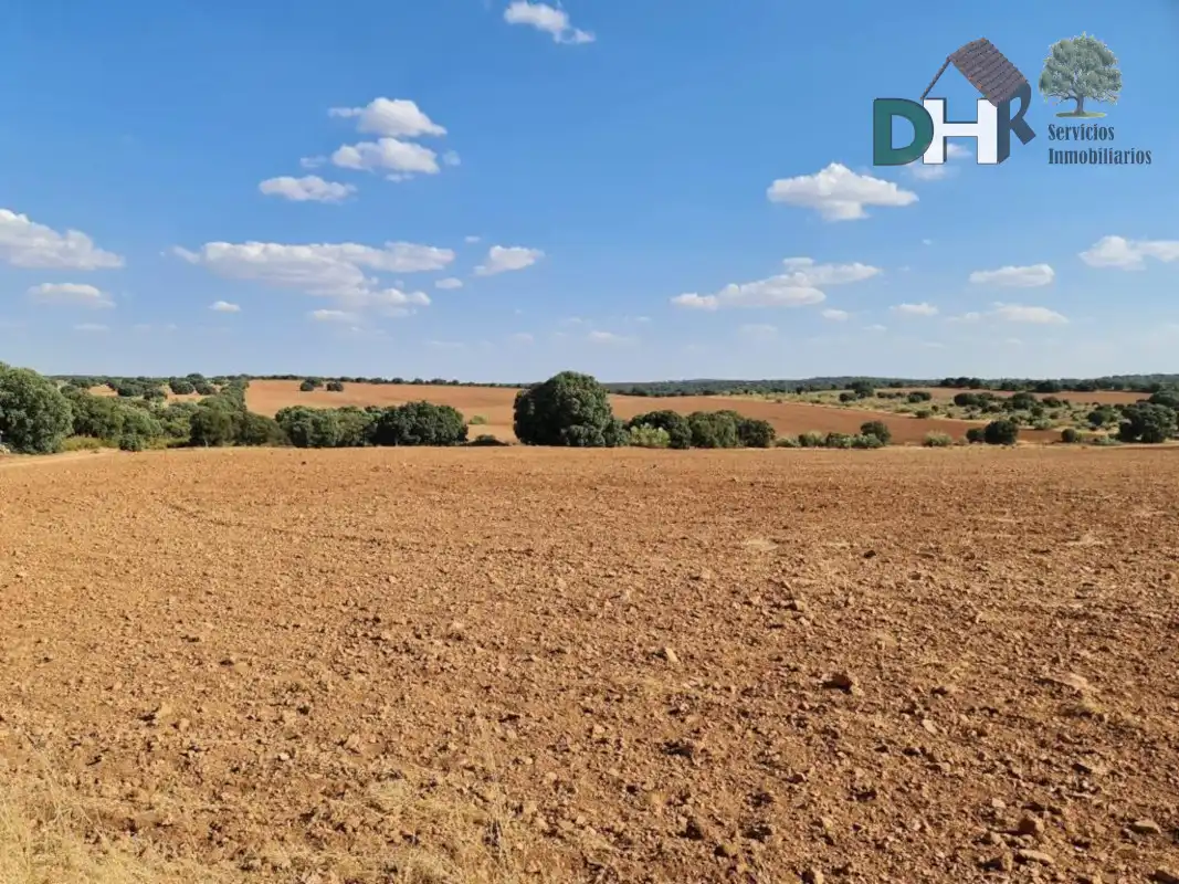 Terrenys i solars en venda a Miguelturra, imagen 18