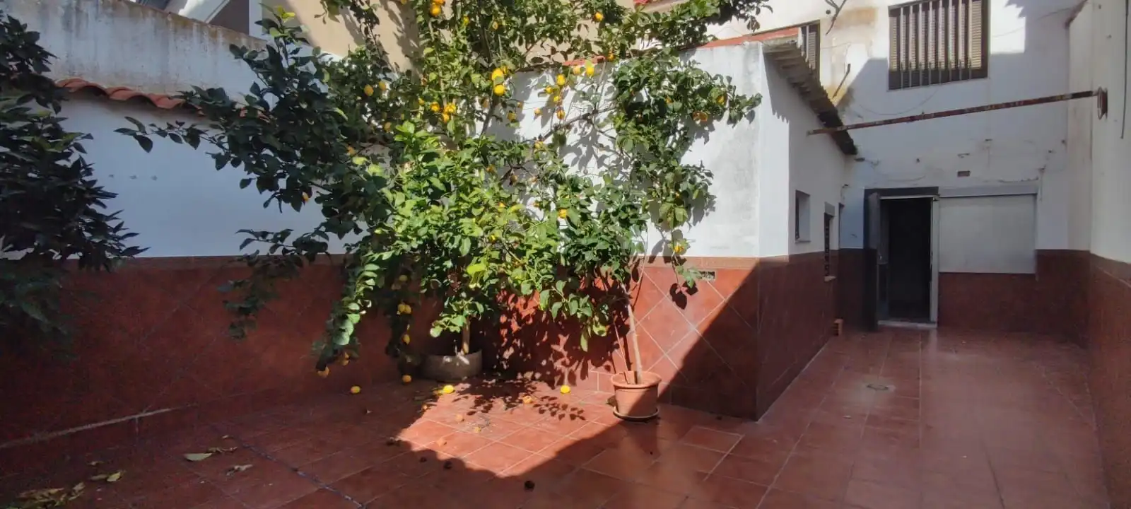 Jardín de Casa adosada en venta en Pedroche con Trastero