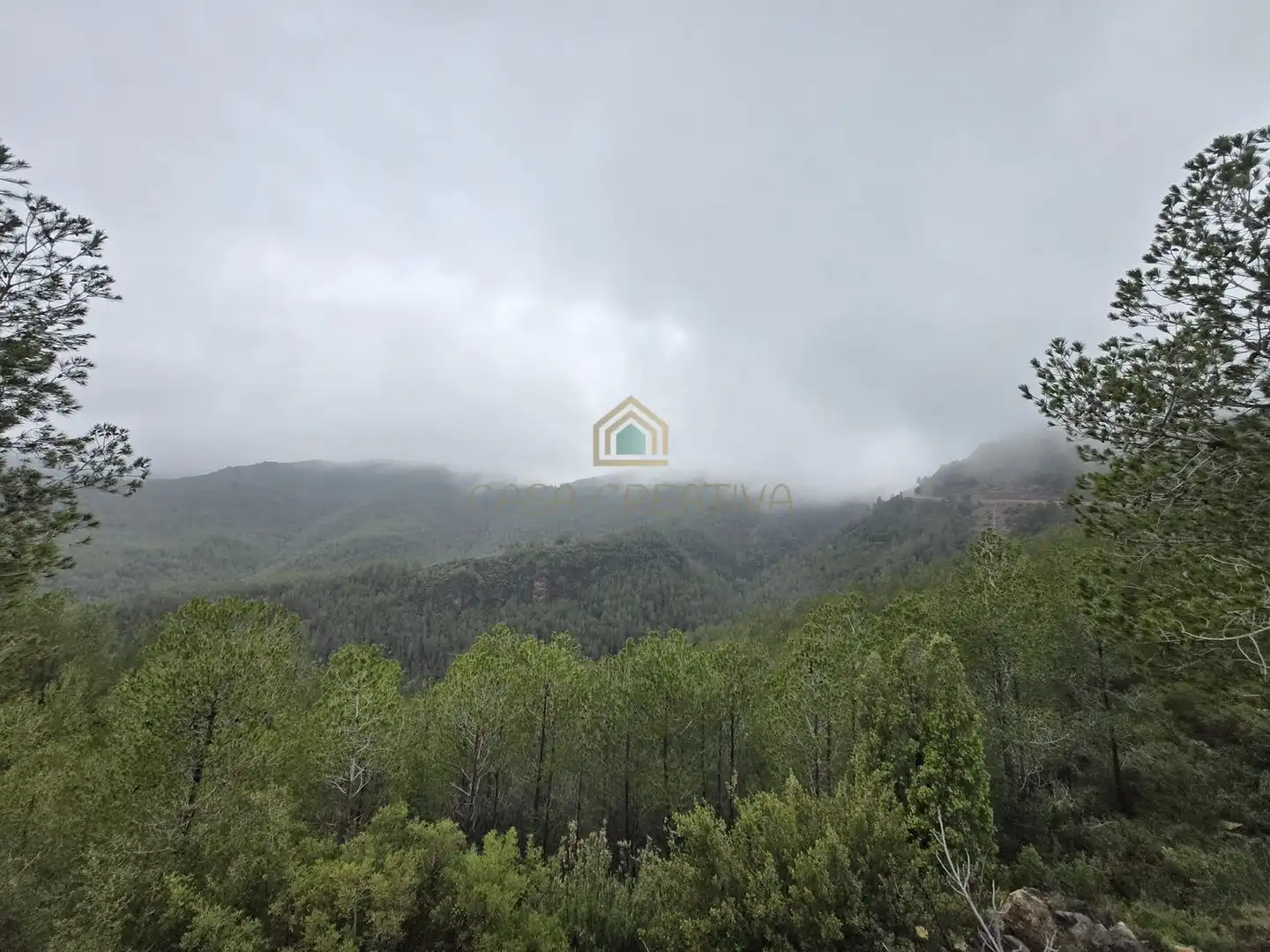 Casa o chalet en venta en Torralba del Pinar