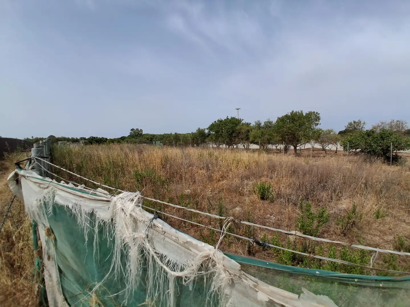 Residential land for sale in Pinar de la villa, imagen 10