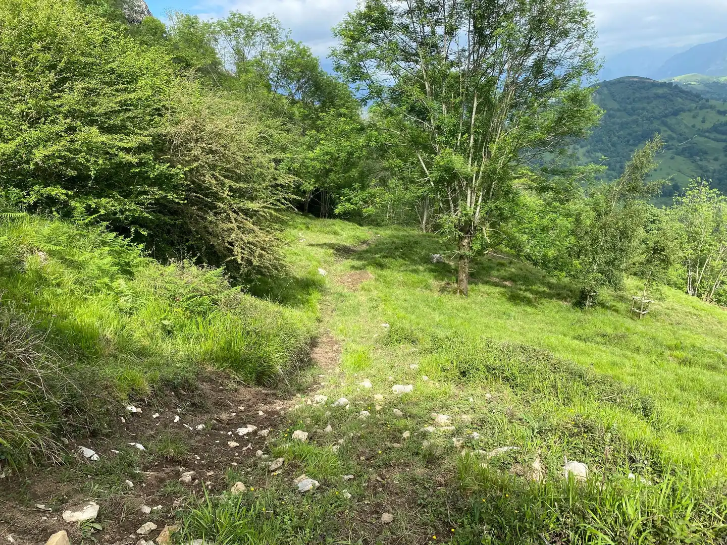 Land for sale in La Molina, Cabrales
