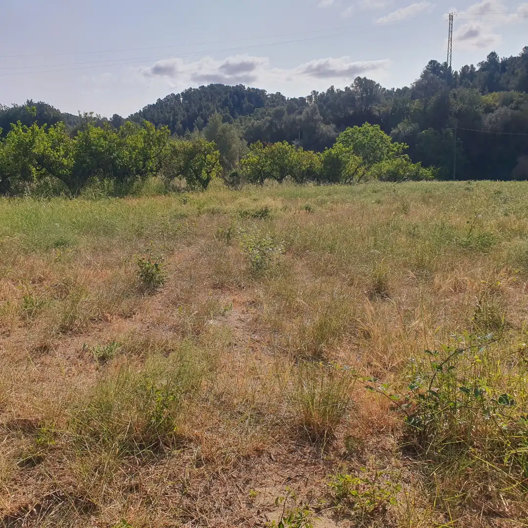 Terrain rustique à vendre à Rasquera, imagen 10